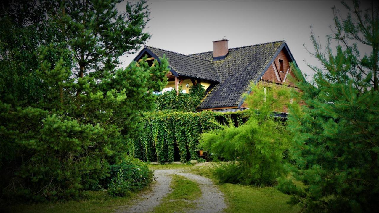Homestay Bogdanki