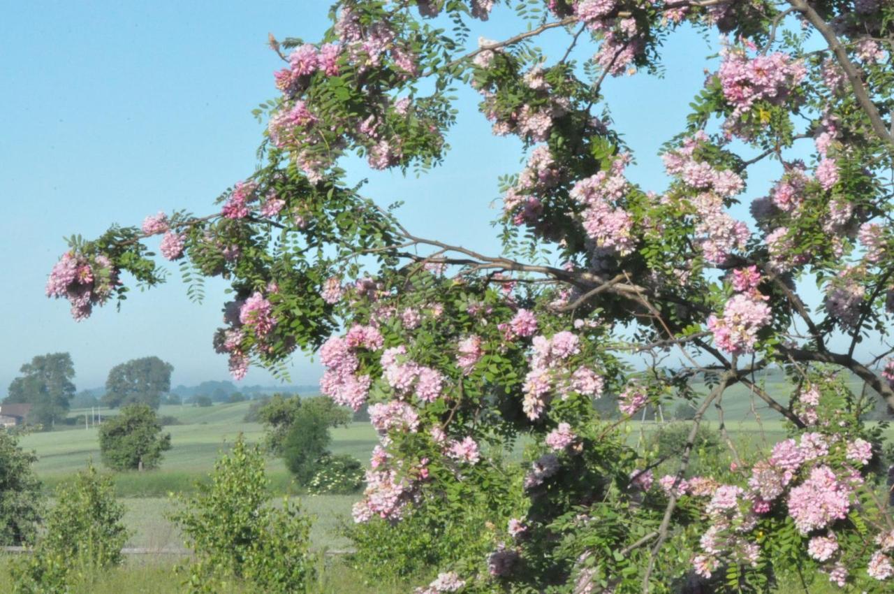 Bogdanki Homestay Stary Targ