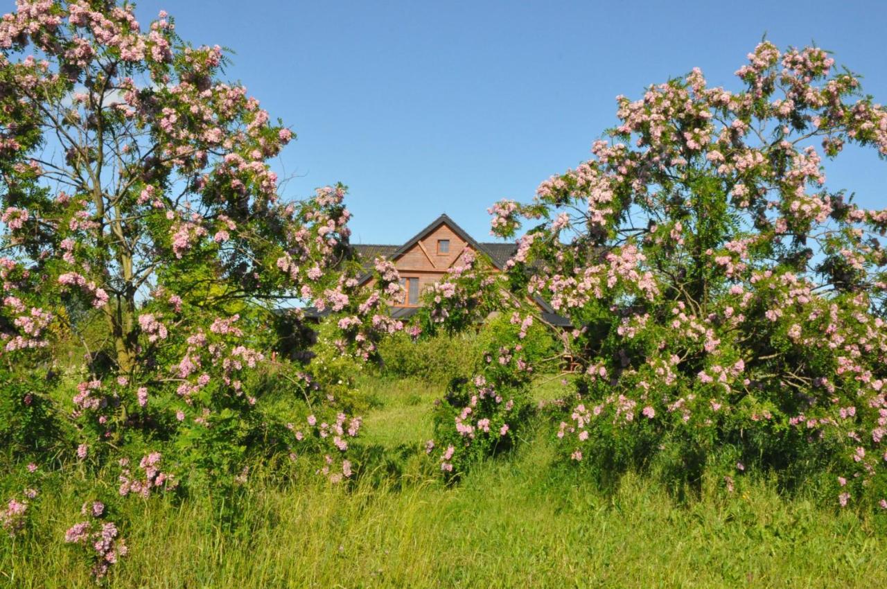Bogdanki Homestay Stary Targ